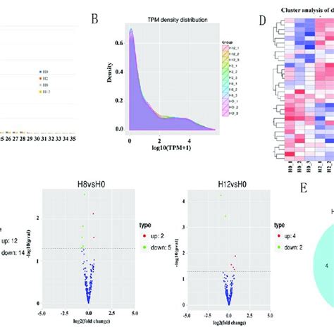 Analysis Of Mirna Sequencing Data A Size Distribution Of Srnas