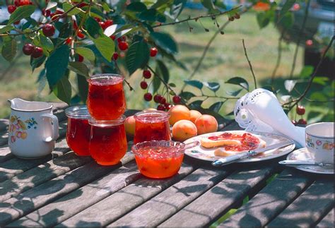 Kirsch Aprikosen Konfitüre Rezept LECKER