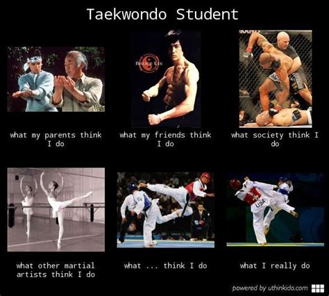 Taekwondo Student What People Think I Do What I Really Do Meme Image