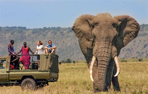 3 Days Group Joining Safari To Serengeti