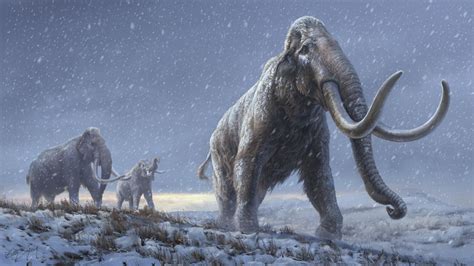 Science quiz: Test your knowledge of mammoths, the ice age beasts ...