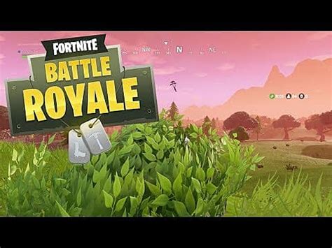 Fornite Guide How To Be A Bush GameSkinny