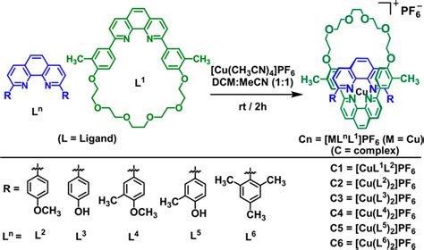 Frontiers Design Synthesis Molecular Modeling And Bioactivity