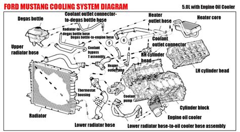 Ford Mustang Cooling System Diagram Car Anatomy