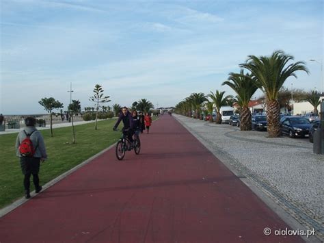 Fotogaleria Das Ciclovias Da Frente Ribeirinha Ciclovias De Esposende