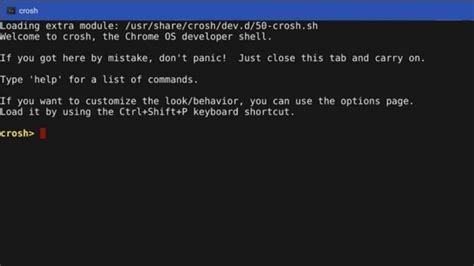 Best Crosh Terminal Commands All Chromebook Users Should Know