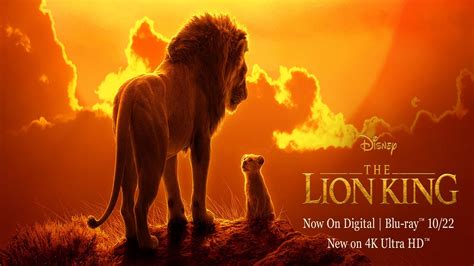 Watch The Lion King 2019 Full Movie On Filmxy