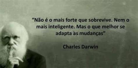 Versos And Sentimentos Charles Darwin