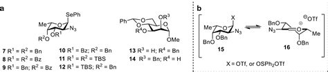 Azidophenylselenylation Of Glycals Towards 2 Azido 2 Deoxy