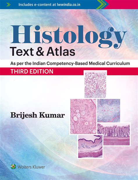 Wheaters Functional Histology A Text And Colour Atlas Barbara Young 5