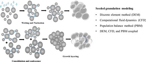 High Shear Granulation