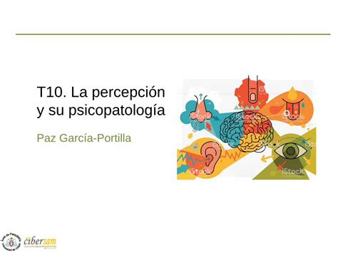 Pdf T La Percepci N Y Su Psicopatolog A Percepci N La