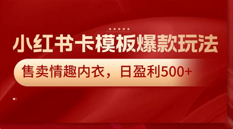 小红书卡模板爆款玩法，售卖情趣内衣，日盈利500 有术宝库