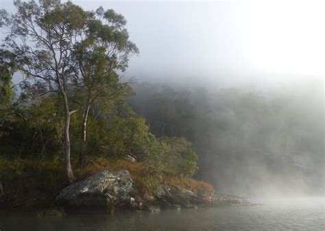 Australian Environmental Humanities Hub