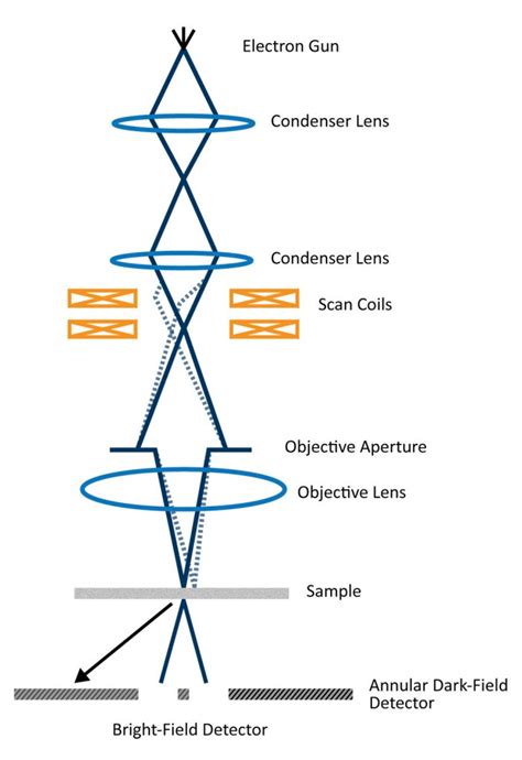 Scanning Transmission Electron Microscopy Nanoscience Instruments