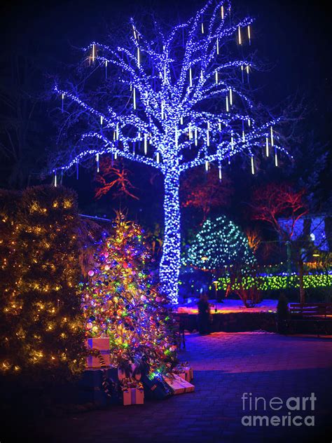 Butchart Gardens Christmas Lights Waterwheel Square Photograph by Mike ...