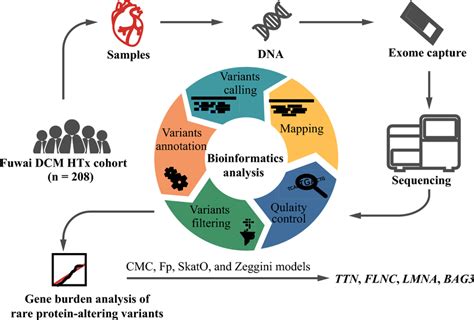 Workflow Of Whole Exome Sequencing And Data Analysis Applied Workflow