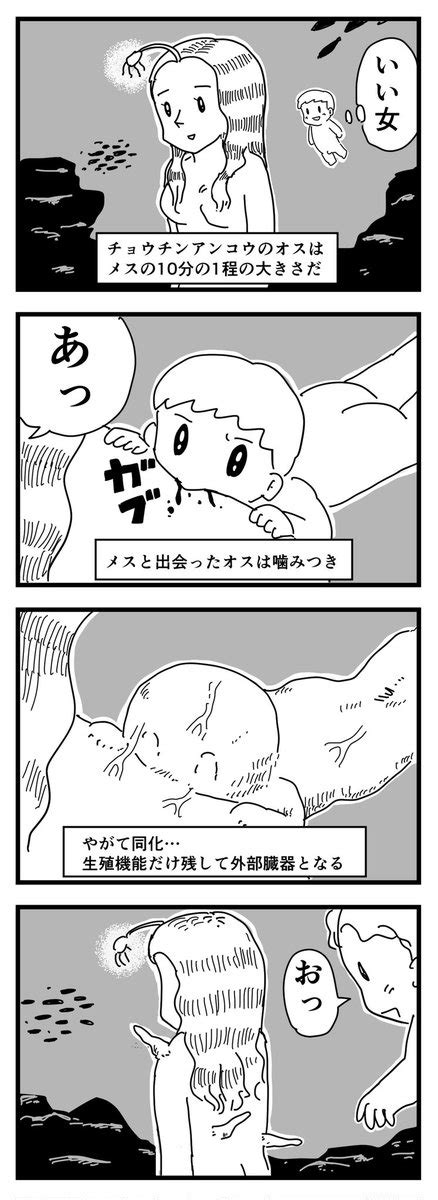 「チョウチンアンコウを擬人化してみた。 4コマ漫画」ネコロスの漫画