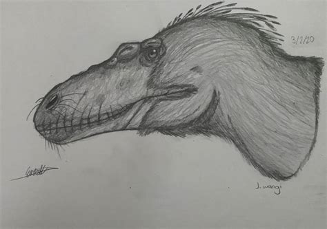 Jinbeisaurus Wangi By Everett1107 On Deviantart