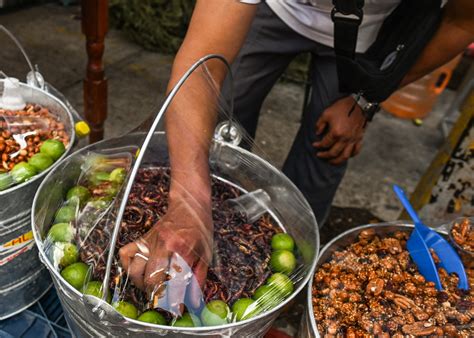 Should people eat insects instead of meat? Experts explain the benefits of bugs - ABC News