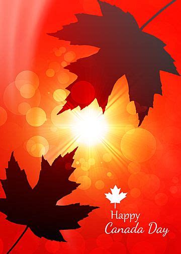 Happy Canada Day Beautiful Maple Background Wallpaper Image For Free