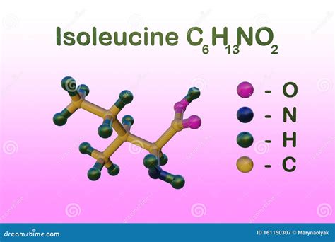 Strukturelle Chemische Formel Und Molekulares Modell Von L Isoleucin