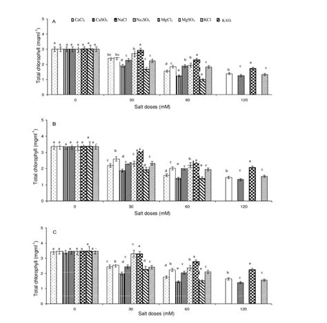 Effects Of Humic Acid HA Application On Total Chlorophyll Content Of