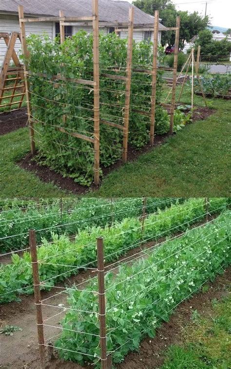 15 Easy DIY Cucumber Trellis Ideas | Diy garden trellis, Vegetable garden trellis, Vegetable ...