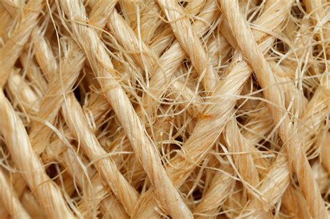 Sisal Fibre Free Stock Photo Public Domain Pictures