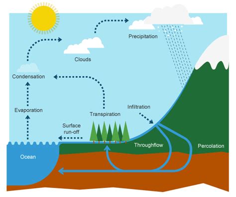 WATER CYCLE: The Process that Provides ALL THE WATER You Use