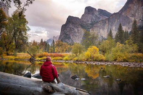 Camping In Yosemite A Guide To Curry Village Campground