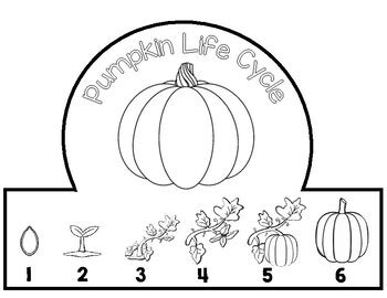 Pumpkin Life Cycle Hat Crown By Lucky Bug Primary Grades TPT