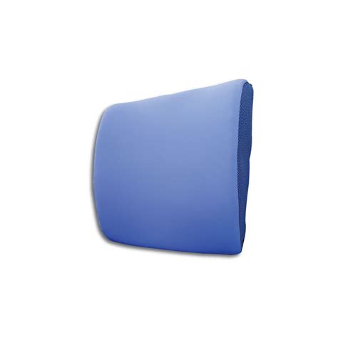 Posture Back Rest Cushion