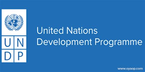 Undp Project Coordinator Internship Analyst Apply Now Oya