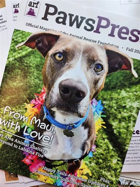 Paws Press Magazine Fall Joybound Formerly Arf