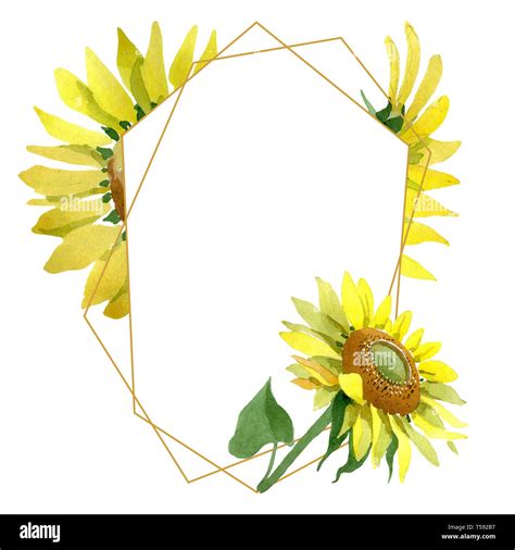 Sunflower frame Cut Out Stock Images & Pictures - Alamy