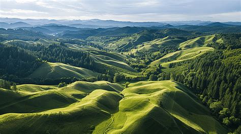 Rolling Hills In East Washington With Different Shades Of Green