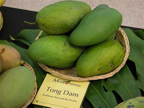 Mangoes In Thailand Your Guide To The Famous Thai Ma Muang