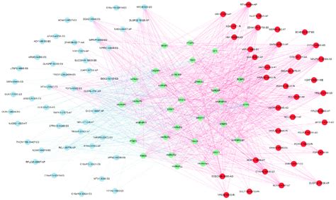 Survival-associated splicing factors and splicing correlation network ...