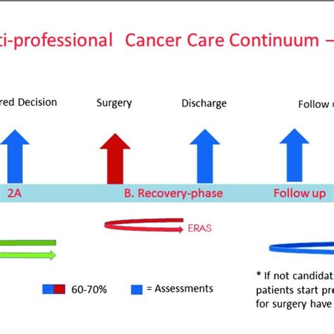 The Pathway In Major Uro Oncological Surgery Courtesy Of Jensen Bt Et