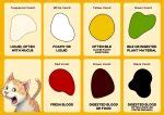 Understanding Your Cats Health Cat Vomit Color Chart Explained