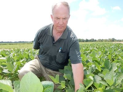 Dicamba Drift Damages Soybeans In Arkansas Brownfield Ag News