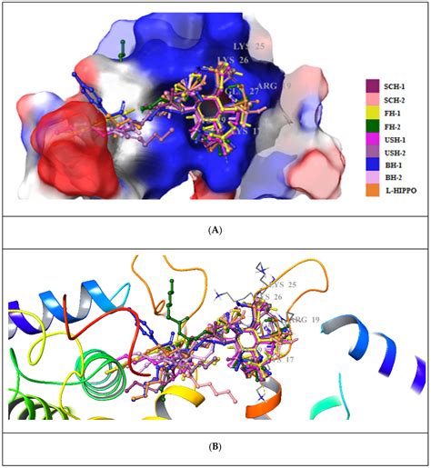 Identification Of New L Heptanoylphosphatidyl Inositol