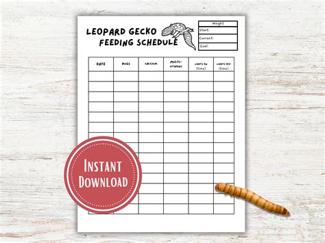 Leopard Gecko Bi-weekly Feeding Schedule/chart. - Etsy