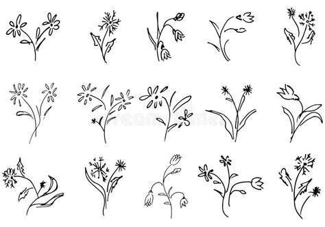 Flowers And Branches Hand Drawn Doodle Collection Isolated On White