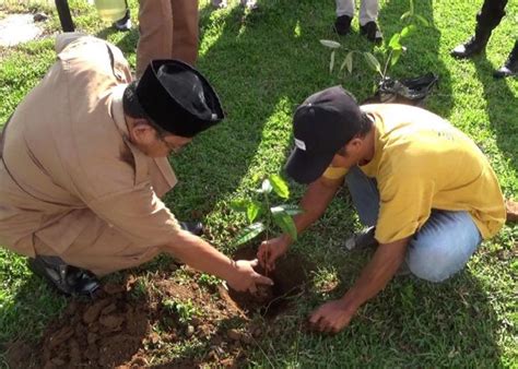 Pupuk Subsidi Hanya Untuk Jenis Tanaman Bagaimana Kelapa Sawit Dan