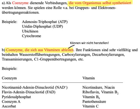 KV 11 Coenzyme Vitamine Spurenelemente Karteikarten Quizlet