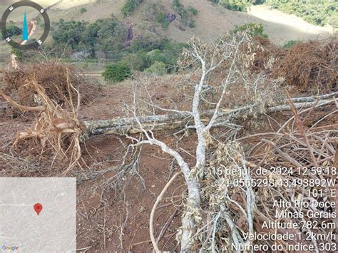 Homem Recebe Multa De Mais De R Mil Por Desmatar Hectare Em Alto