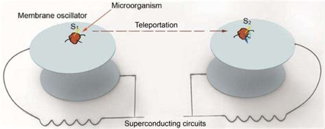 Teleportation is Becoming a Reality