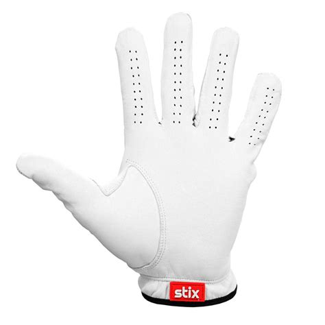 glove stix net worth 2020